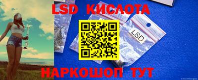 spice Бердск