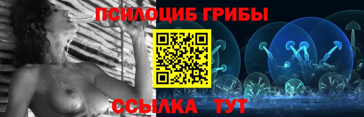 Галлюциногенные грибы MAGIC MUSHROOMS  Галлюциногенные грибы Cubensis  цены   Отрадный  Вход с VPN 