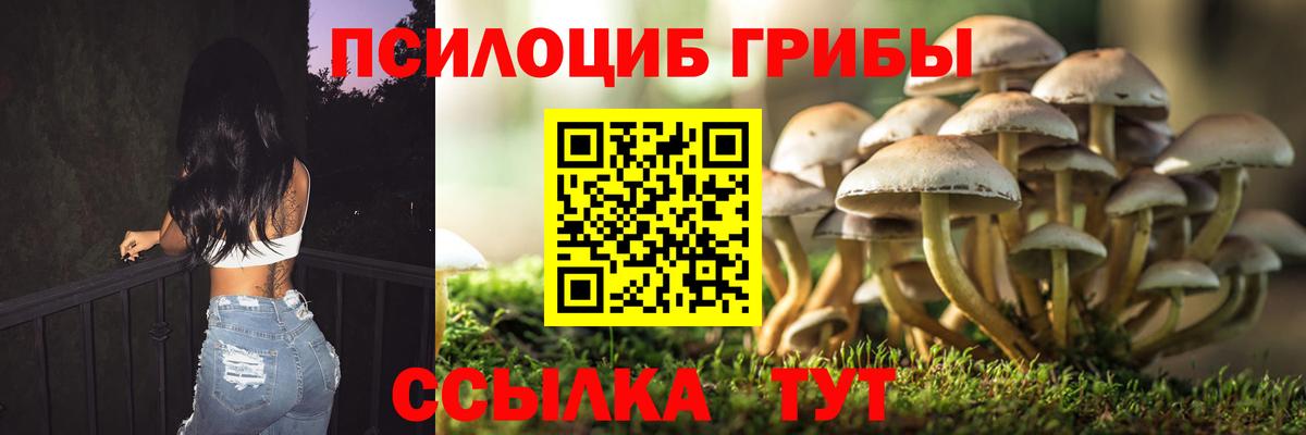 Галлюциногенные грибы Cubensis Отрадный