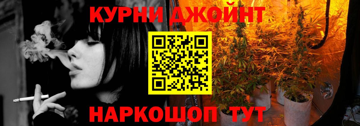 Отрадный  Конопля планчик  Каннабис Amnesia  Канабис план  Вход с VPN  Бошки Шишки Bruce Banner 
